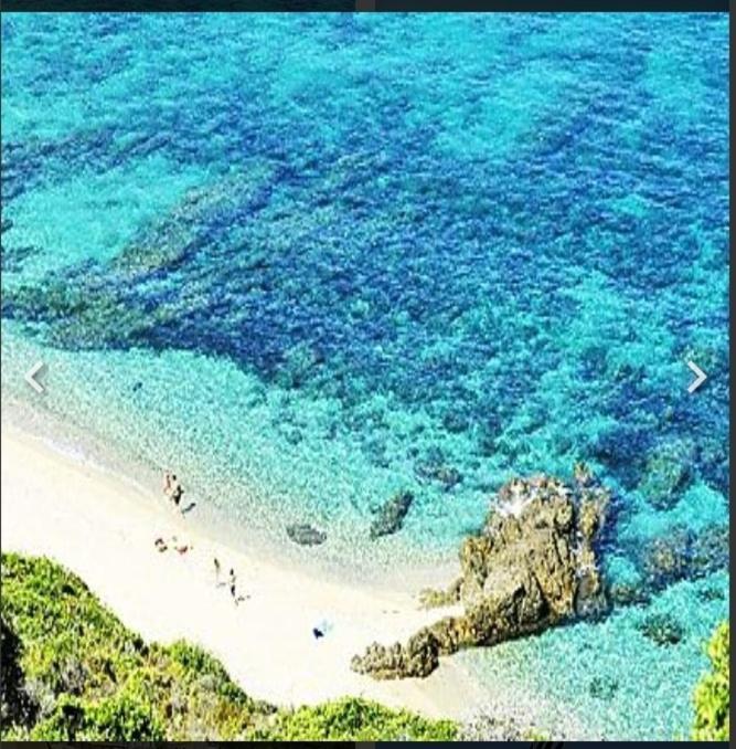 Apartment Capra Scorsa - Appt Vue Et Piscine Partagee Belgodere (Corsica)